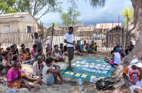 Обитатели деревень Мадагаскара придумали способы сохранения мангровых лесов